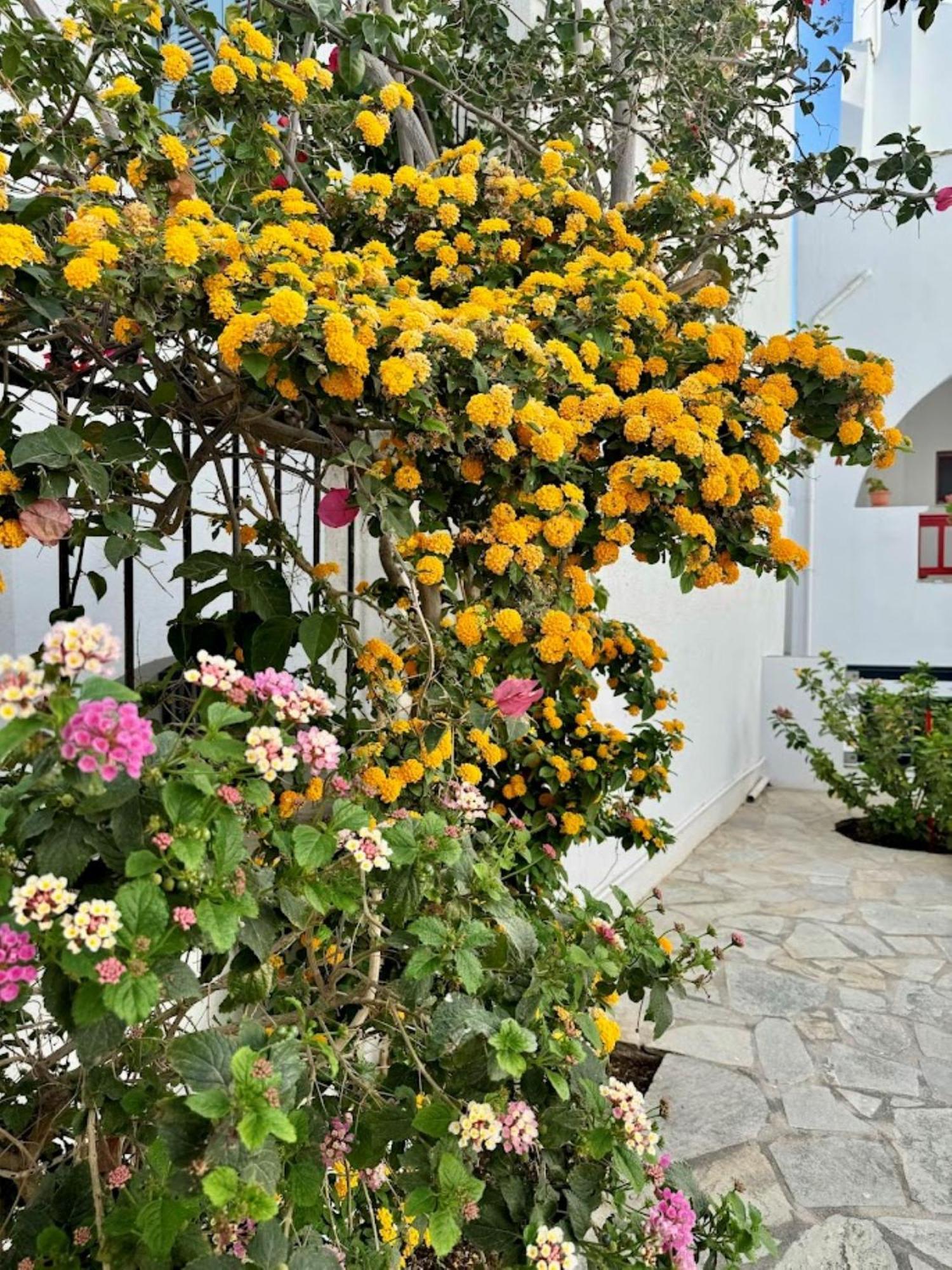 Elisso'S Philoxenia Aparthotel Agios Prokopios  Exterior photo