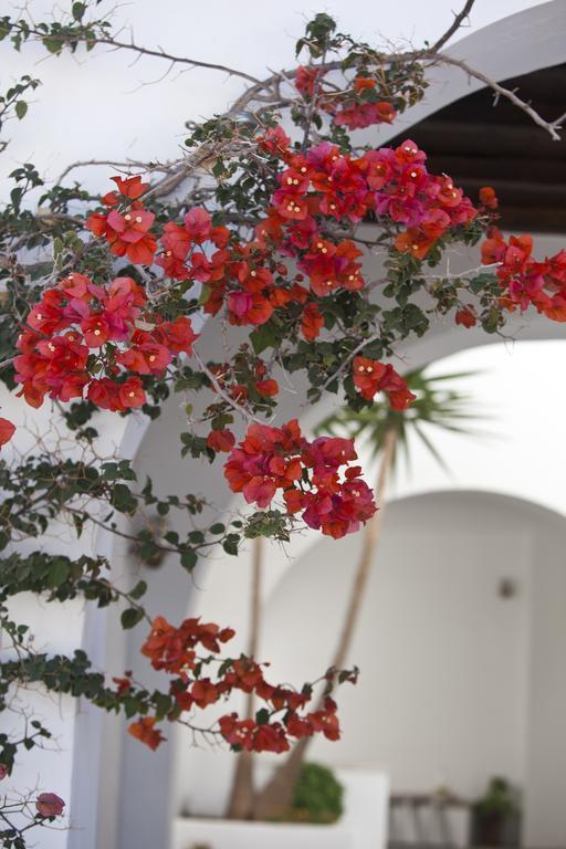 Elisso'S Philoxenia Aparthotel Agios Prokopios  Exterior photo